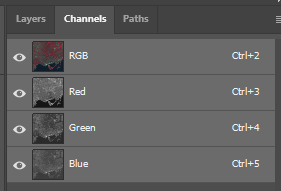 05_Merged_Channels.png